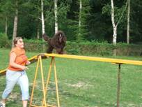 Agility