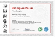 novinky fotka