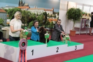 novinky fotka