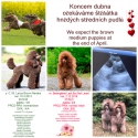 novinky fotka