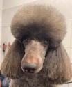 novinky fotka